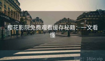 樱花影院免费观看缓存秘籍：一文看懂