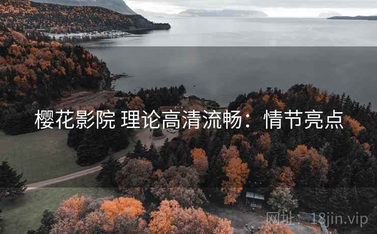 樱花影院 理论高清流畅:情节亮点 樱花影院 理论高清流畅:情节亮点